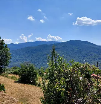 Foto annuncio 24