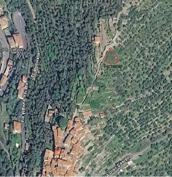 Foto annuncio 33