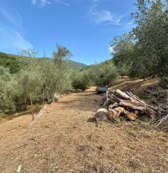 Foto annuncio 5