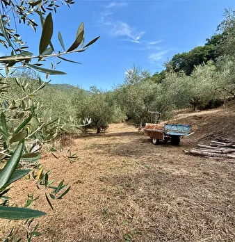 Foto annuncio 3