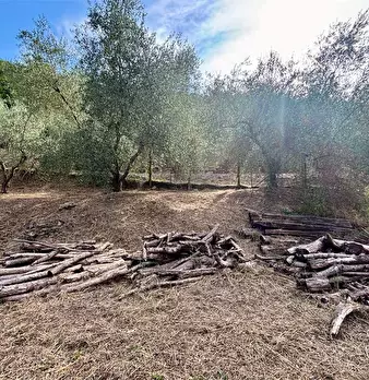 Foto annuncio 6