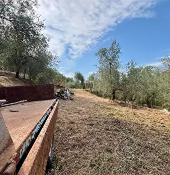 Foto annuncio 7