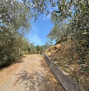 Foto annuncio 8