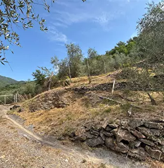 Foto annuncio 9