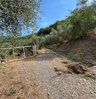 Foto annuncio 11
