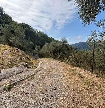 Foto annuncio 13