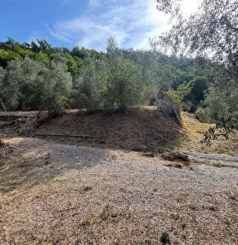 Foto annuncio 14