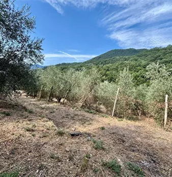Foto annuncio 16
