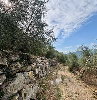 Foto annuncio 20