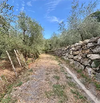 Foto annuncio 22
