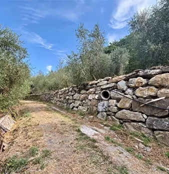 Foto annuncio 23