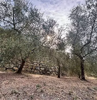 Foto annuncio 25