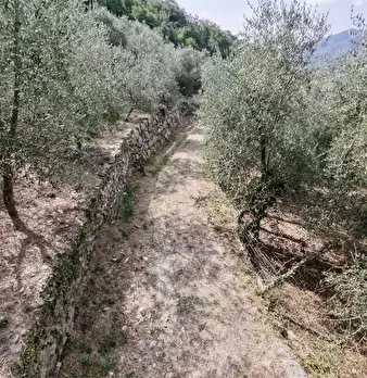Foto annuncio 26