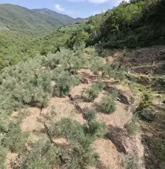 Foto annuncio 27