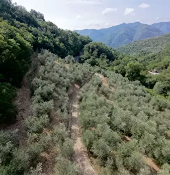 Foto annuncio 28