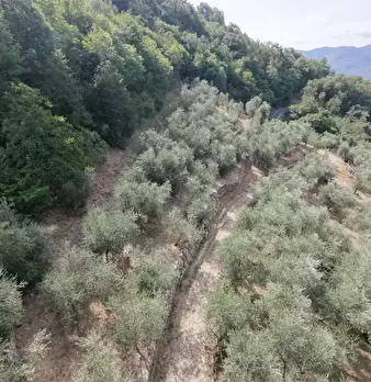 Foto annuncio 31