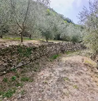 Foto annuncio 32