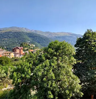 Foto annuncio 15