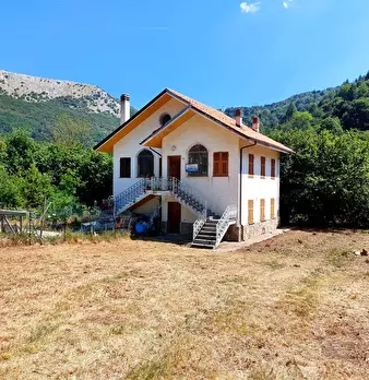Foto annuncio 5