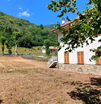 Foto annuncio 38