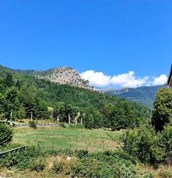 Foto annuncio 22