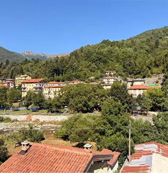 Foto annuncio 9