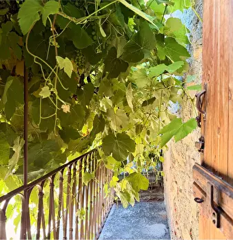 Foto annuncio 19