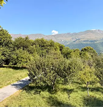Foto annuncio 23