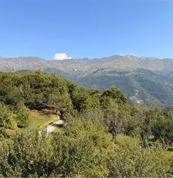 Foto annuncio 37