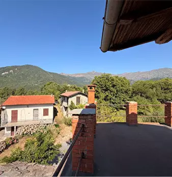 Foto annuncio 31