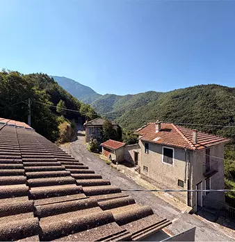 Foto annuncio 33