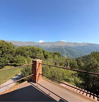 Foto annuncio 30