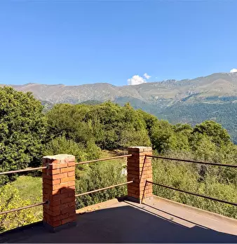 Foto annuncio 36