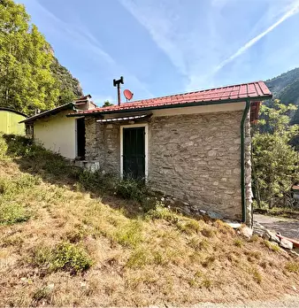 Foto annuncio 3