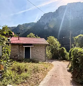 Foto annuncio 33