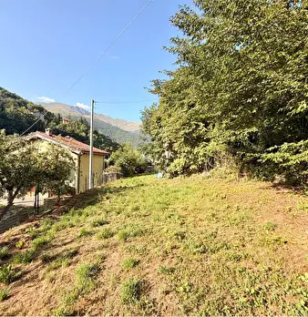 Foto annuncio 44
