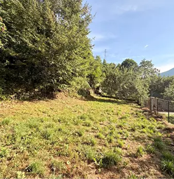Foto annuncio 45