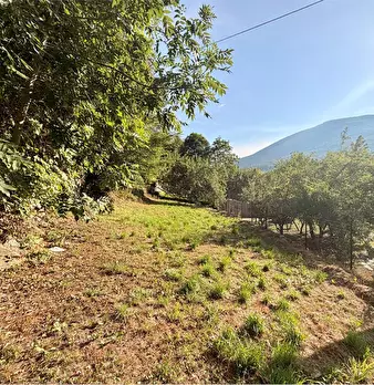 Foto annuncio 46