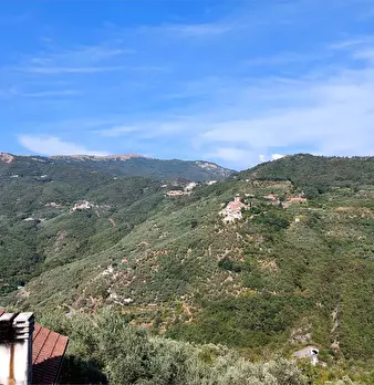Foto annuncio 24
