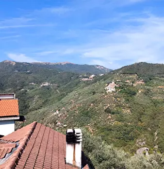 Foto annuncio 12