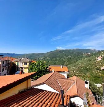 Foto annuncio 19