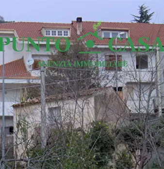 Foto annuncio 49