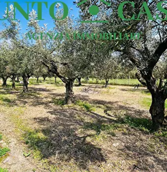 Foto annuncio 1