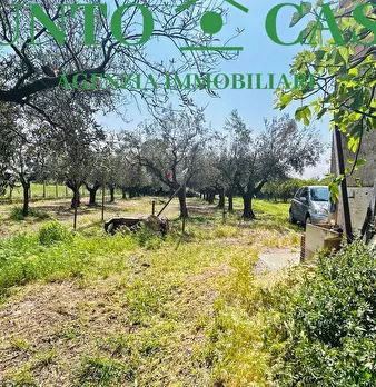 Foto annuncio 9