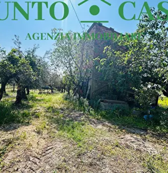 Foto annuncio 10