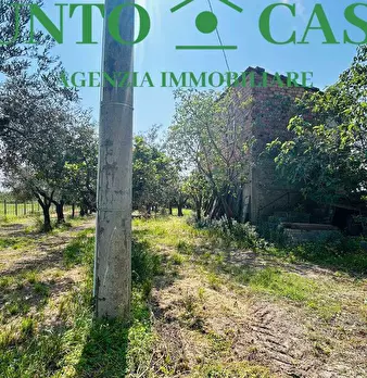 Foto annuncio 11