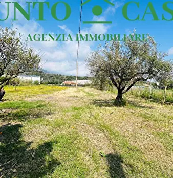 Foto annuncio 12