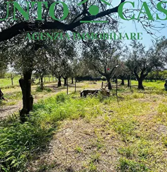 Foto annuncio 13