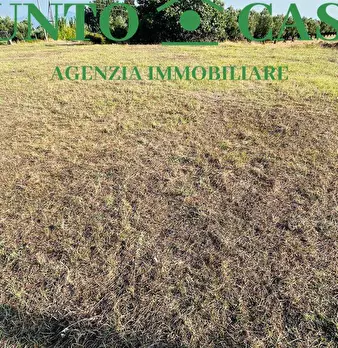 Foto annuncio 7