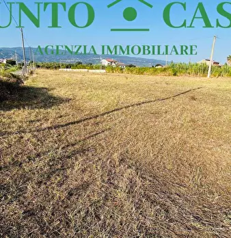 Foto annuncio 9